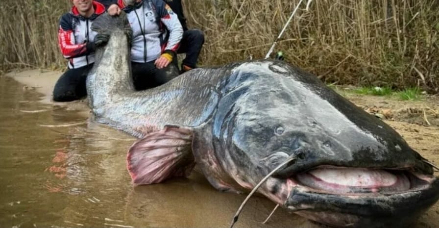 Screenshot_20251025_103550_Chrome